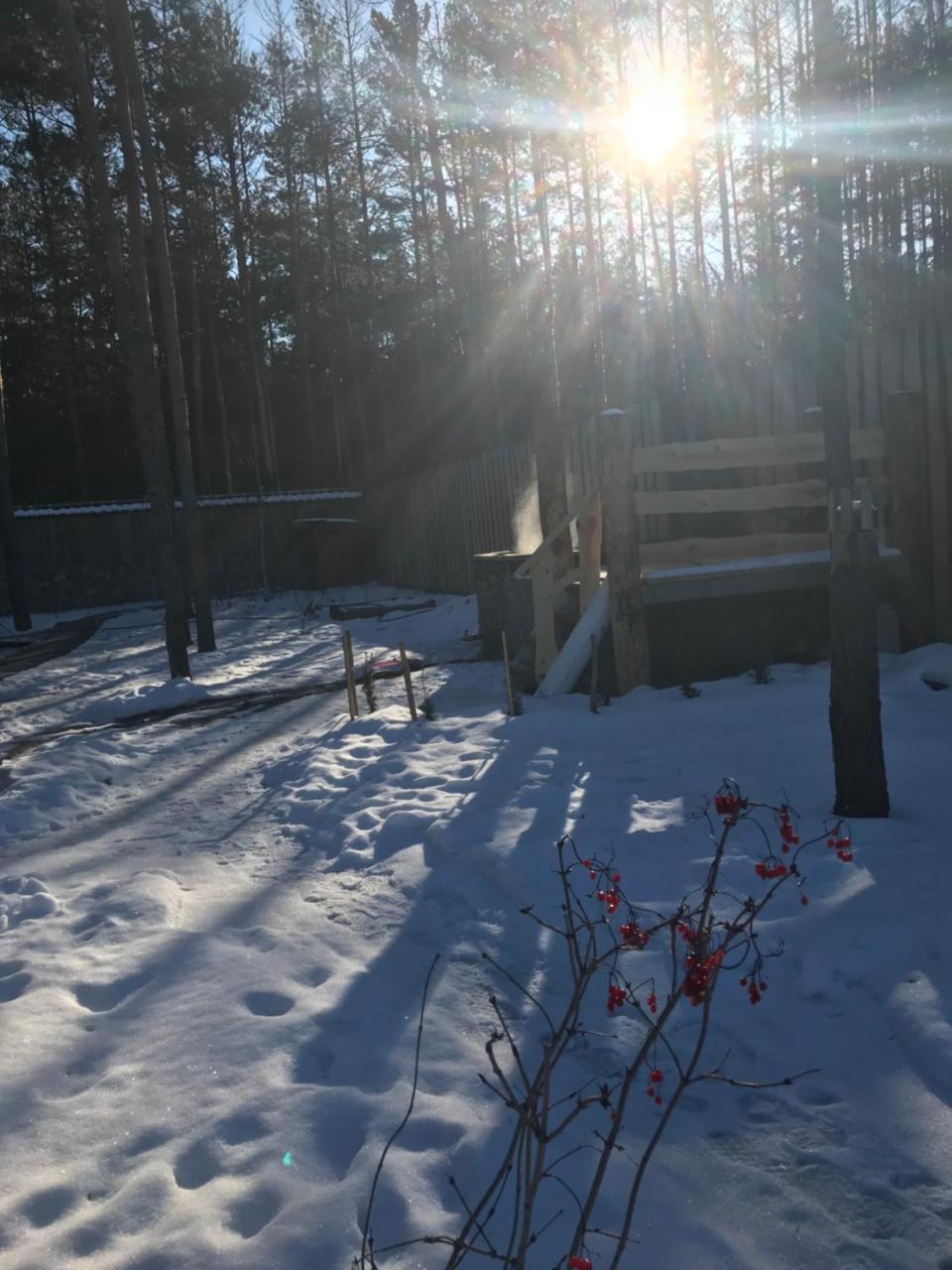 Eco Dom V Lesu Pension Bila Krynytsia Buitenkant foto